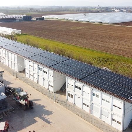 Steegmüller Gemüsebau, Weingarten (Rheinland-Pfalz)