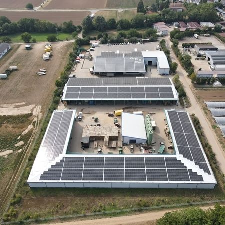 Steegmüller Gemüsebau, Weingarten (Rheinland-Pfalz)